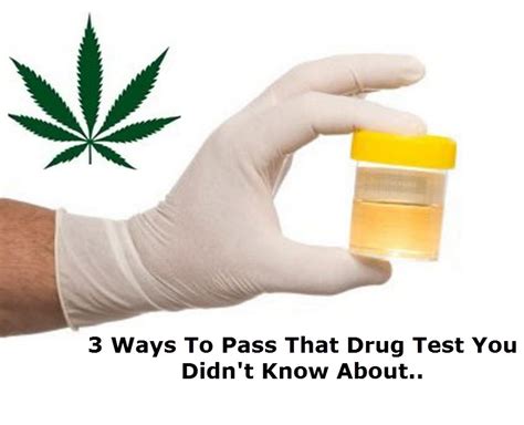 how hard to pass drug test weed|how to pass urine test.